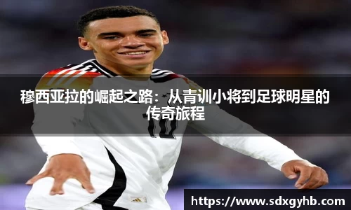 熊猫体育官方网站