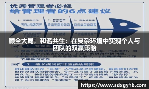 顾全大局，和谐共生：在复杂环境中实现个人与团队的双赢策略